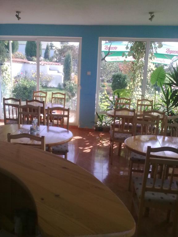 קושריצה Вила Синя Иглика מראה חיצוני תמונה